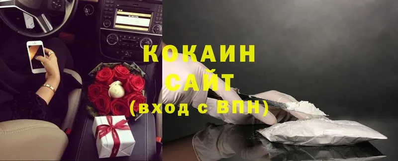 купить закладку  Алзамай  COCAIN Fish Scale 